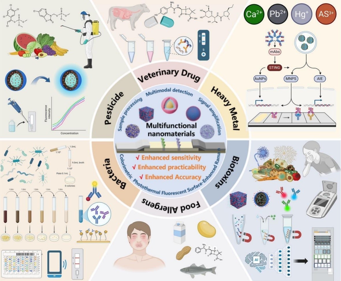 基于MFNs -LFIA的生物标记物检测示意图：在多种食品污染物中的应用